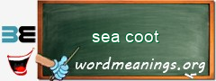 WordMeaning blackboard for sea coot